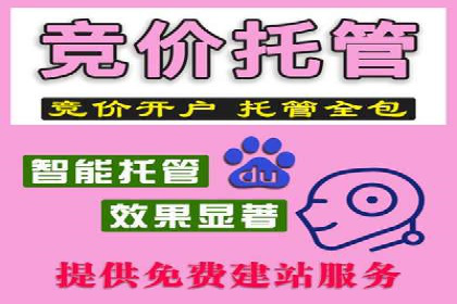 行业专家眼中的sem竞价推广托管策略